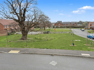 Photo 7- click for photo gallery